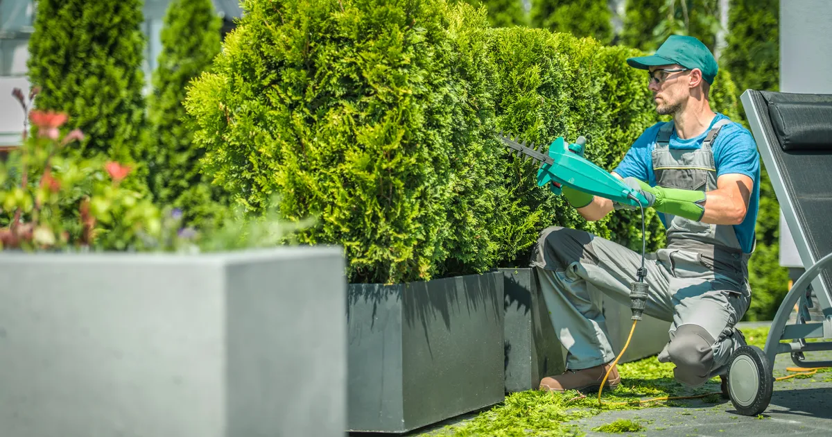 Gartenpflege Abo